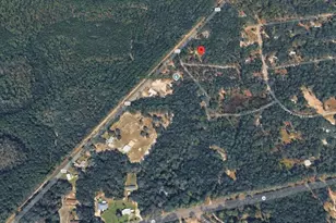 556 County Rd 219, Melrose, FL 32666 - Photo 24