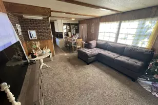 556 County Rd 219, Melrose, FL 32666 - Photo 6