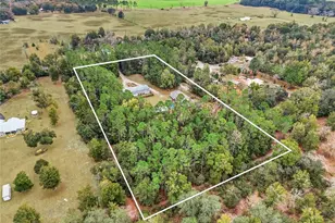 11640 SW Tustenuggee Ave, Fort White, FL 32038 - Photo 6