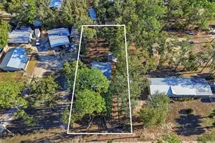 317 Cedar Street NE, Steinhatchee, FL 32359 - Photo 24