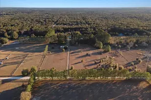 19227 SW 187 Ave, Archer, FL 32618 - Photo 54