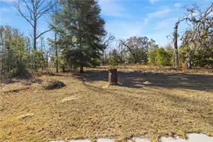 3353 NE 71st Ave, High Springs, FL 32643 - Photo 22