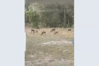 3353 NE 71st Avenue, High Springs, FL 32643 - Photo 24