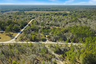 3353 NE 71st Ave, High Springs, FL 32643 - Photo 28