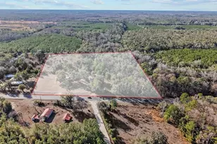 1564 S State Road 349, Branford, FL 32008 - Photo 26