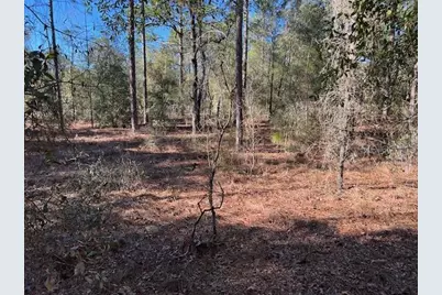 16091 SW 20th Lane, Ocala, FL 34481 - Photo 2