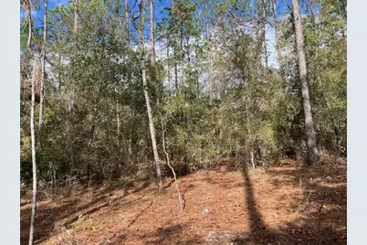 Nw 16th Avenue, Bell, FL 32619 - Photo 10