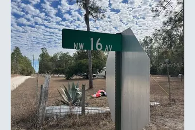 Nw 16th Avenue, Bell, FL 32619 - Photo 1