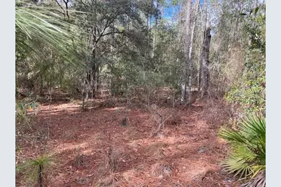 Nw 16th Avenue, Bell, FL 32619 - Photo 8