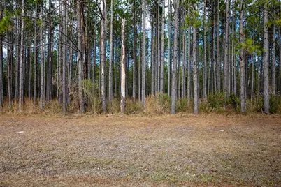 2780 140th Terrace, Lake City, FL 32024 - Photo 32