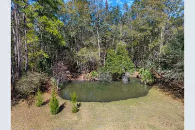 21736 NW 75th Avenue Road, Micanopy, FL 32667 - Photo 86