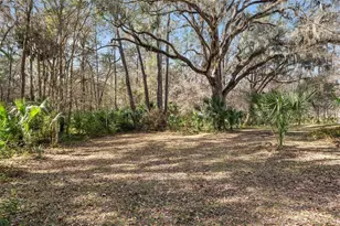 21736 NW 75th Ave Rd, Micanopy, FL 32667 - Photo 80
