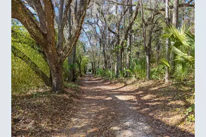 21736 NW 75th Avenue Road, Micanopy, FL 32667 - Photo 6