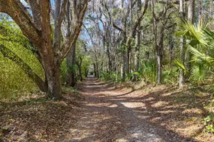 21736 NW 75th Ave Rd, Micanopy, FL 32667 - Photo 6