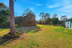 1103 NE 4 Ave, Williston, FL 32696 - Photo 26