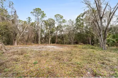 905 NE US Hwy 301, Hawthorne, FL 32640 - Photo 4