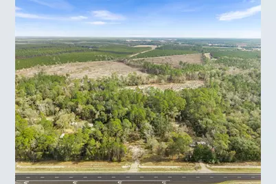 905 NE US Hwy 301, Hawthorne, FL 32640 - Photo 8