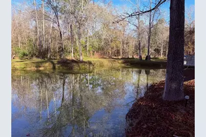 Off NW 10 Place, Chiefland, FL 32626 - Photo 4