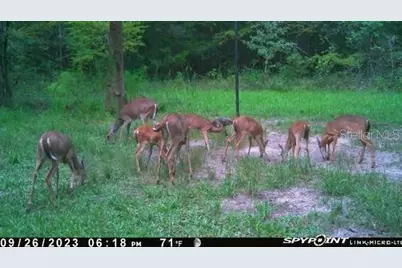 Off NW 10 Place, Chiefland, FL 32626 - Photo 2