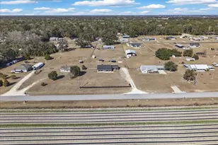 7291 NW 160th St, Trenton, FL 32693 - Photo 48