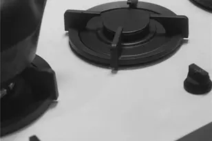 2062 NW 11th Rd, Gainesville, FL 32605 - Photo 44