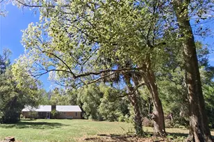 23086 NW 189th Ave, High Springs, FL 32643 - Photo 4