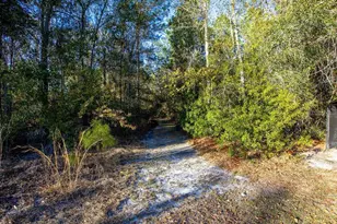 16064 SW County Road 235, Brooker, FL 32622 - Photo 28