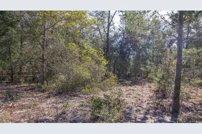 5851 Hillridge Road, Keystone Heights, FL 32656 - Photo 10