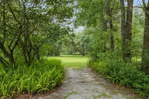 12832 SW 14 Ave, Newberry, FL 32669 - Photo 30