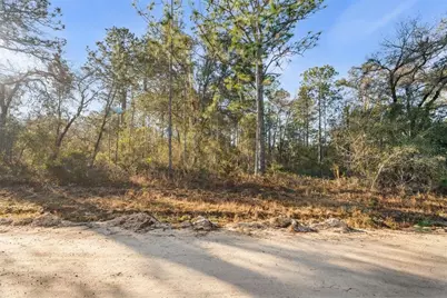 0 NE 121st Avenue, Williston, FL 32696 - Photo 4