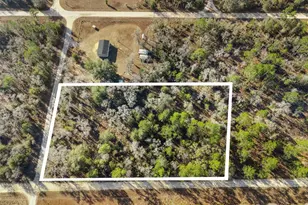0 NE 121st Ave, Williston, FL 32696 - Photo 1