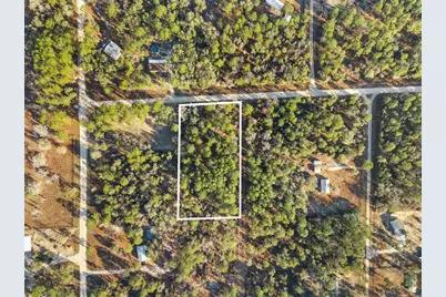 0 NE 121st Avenue, Williston, FL 32696 - Photo 2