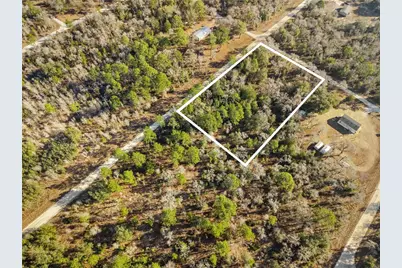 0 NE 121st Avenue, Williston, FL 32696 - Photo 12