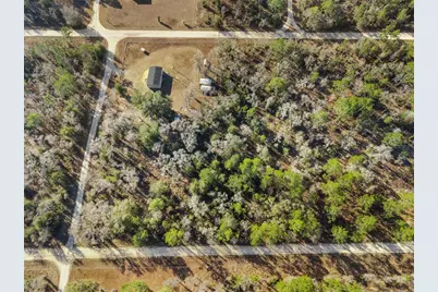 0 NE 121st Avenue, Williston, FL 32696 - Photo 6