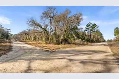 0 NE 121st Avenue, Williston, FL 32696 - Photo 4