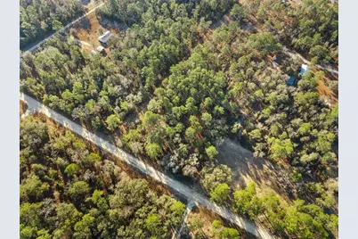 0 NE 121st Avenue, Williston, FL 32696 - Photo 8