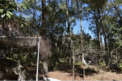 2406 SW 98th Drive, Gainesville, FL 32608 - Photo 44