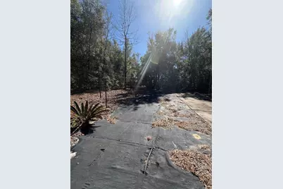 14212 NW 188th Street, Alachua, FL 32615 - Photo 10