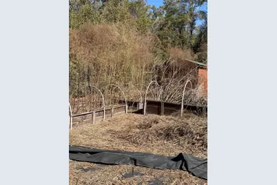 14212 NW 188th Street, Alachua, FL 32615 - Photo 6