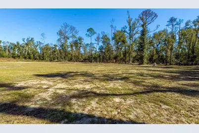10448 County Road 136, Live Oak, FL 32060 - Photo 32