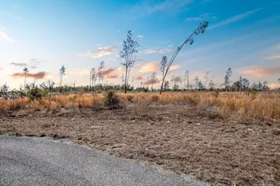 Tbd 211th Court, Live Oak, FL 32060 - Photo 14