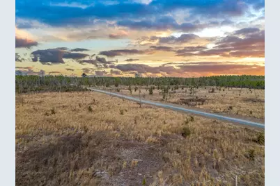 Tbd 211th Court, Live Oak, FL 32060 - Photo 4