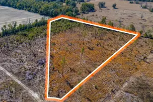 Tbd 211th Ct, Live Oak, FL 32060 - Photo 1
