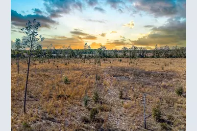 Tbd 211th Court, Live Oak, FL 32060 - Photo 10