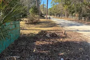 14112 NE 50th Pl, Williston, FL 32696 - Photo 6