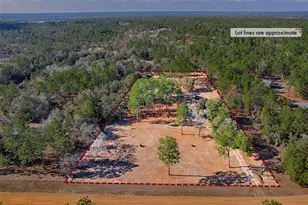 152 Piper Dr, Hawthorne, FL 32640 - Photo 42