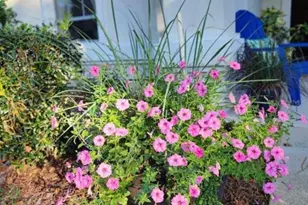 1435 NW 100th Terrace, Gainesville, FL 32606 - Photo 32