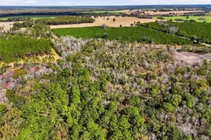 20994 SW County Rd 18, Brooker, FL 32622 - Photo 14