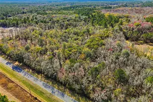 20994 SW County Rd 18, Brooker, FL 32622 - Photo 6