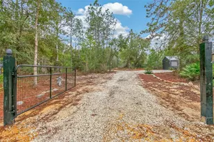 419 Lily Trail, Interlachen, FL 32148 - Photo 54